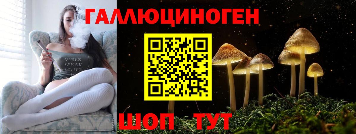 Сыктывкар  Псилоцибиновые грибы прущие грибы  Вход с VPN  Галлюциногенные грибы Cubensis 